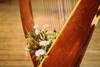 Immagine decorativa
